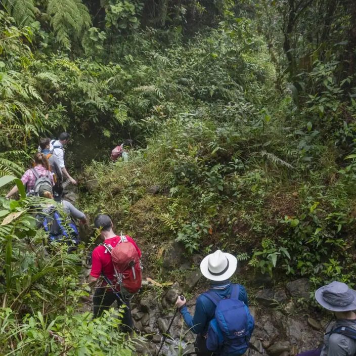 hiking through jungle in colombia