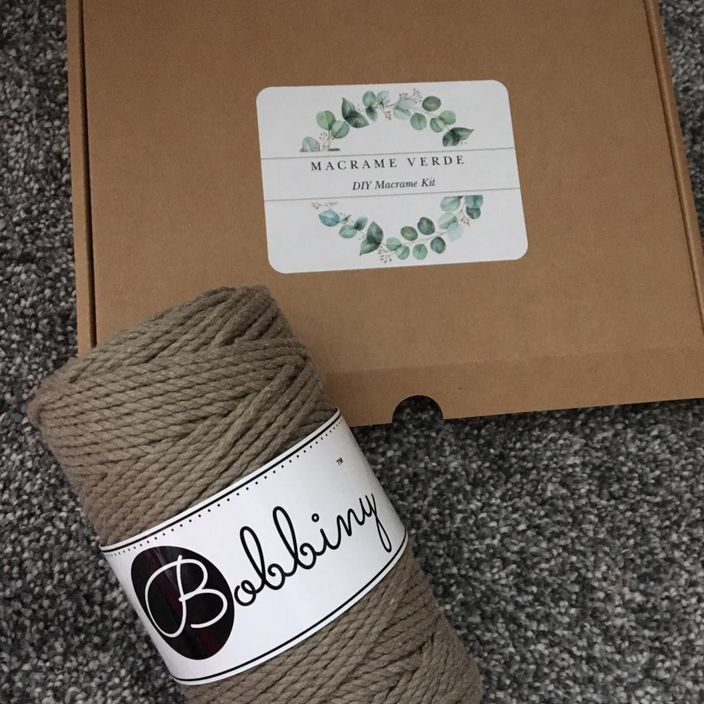 A mixture of indoor plants and succulents on a wooden floor