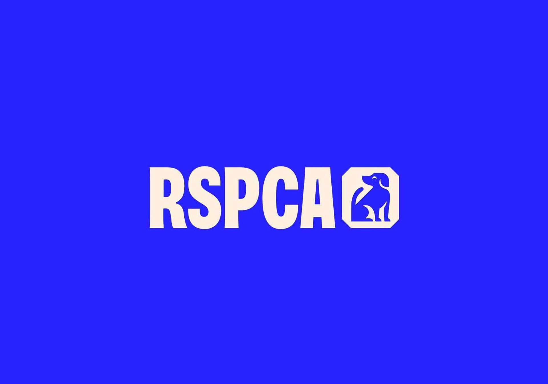 RSPCA cat