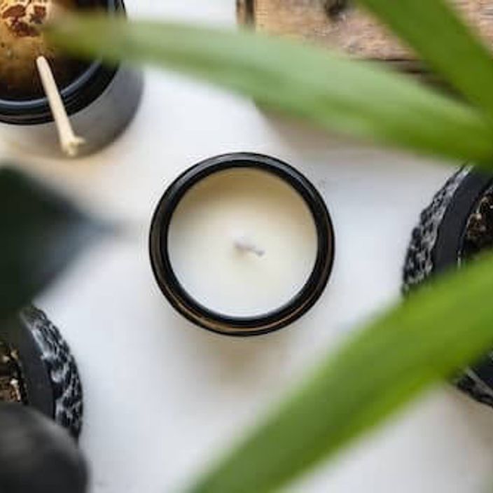 Candle on a table with plants 