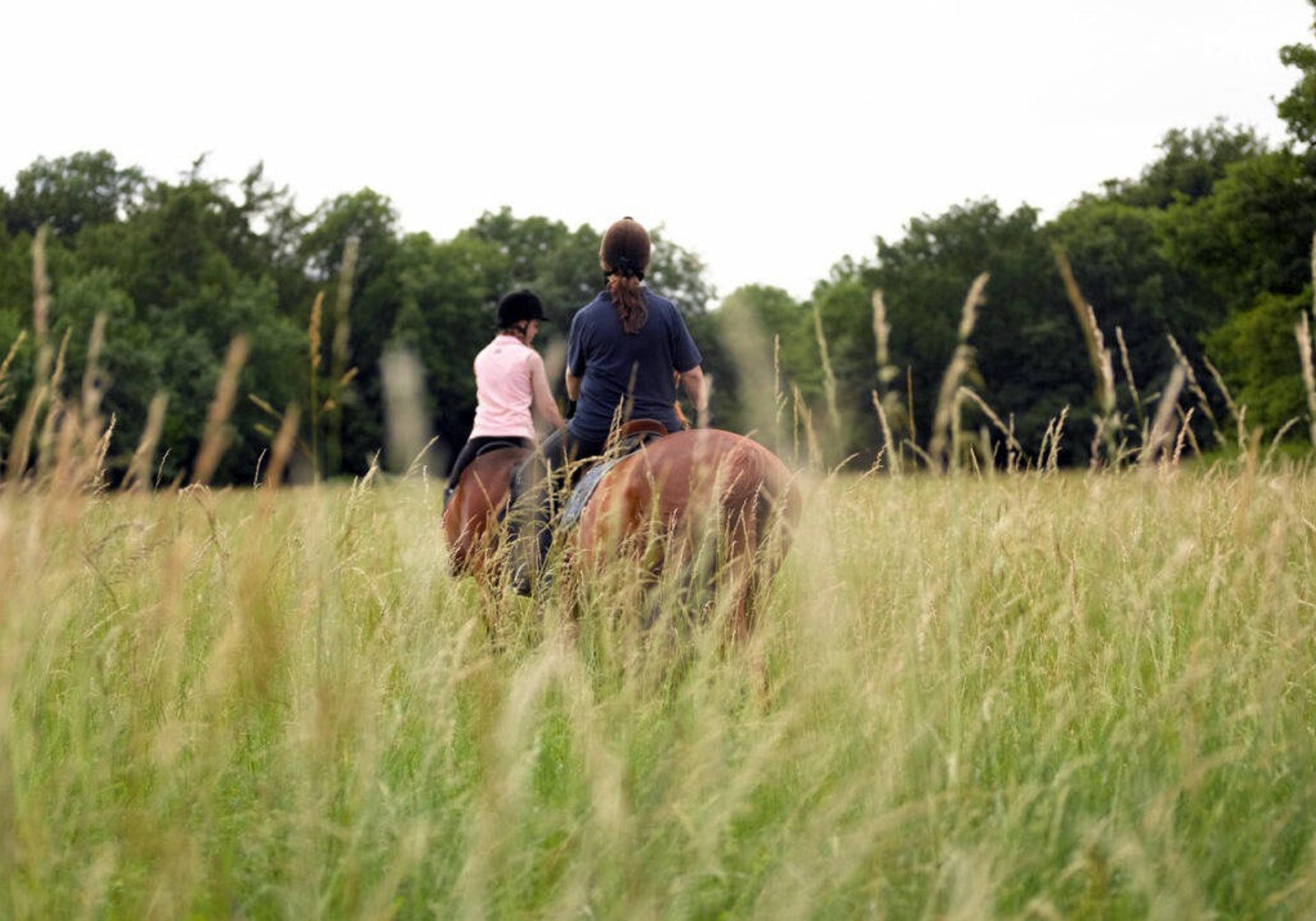 Horse rider in long grass field