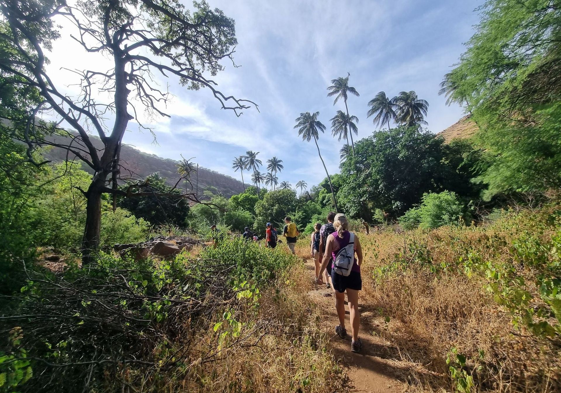 Hiker overlooking  mountains in Cape Verde