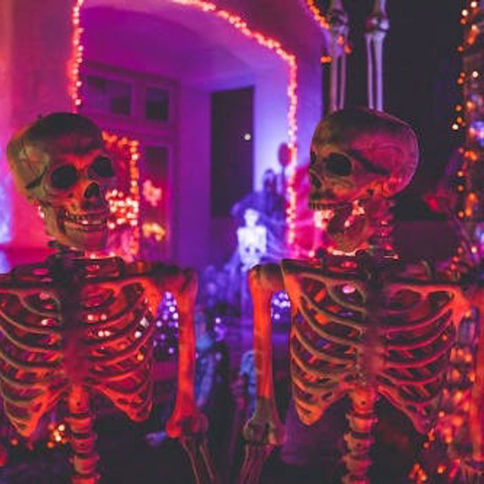 two skeletons decorations for Halloween