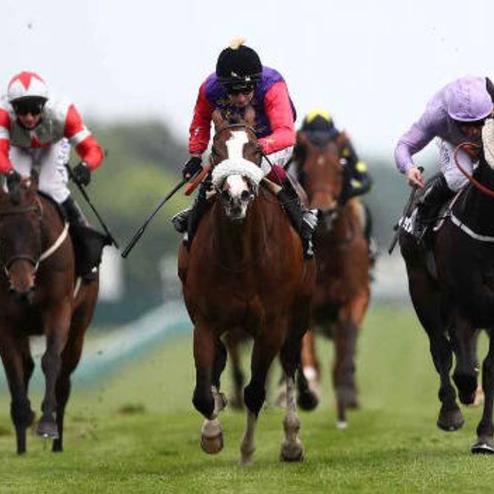 several jockeys horse racing