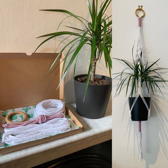 Six Macrame Plant Hangers on a wall