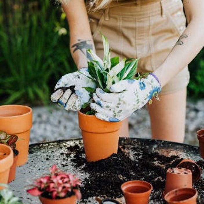 a women gardening 