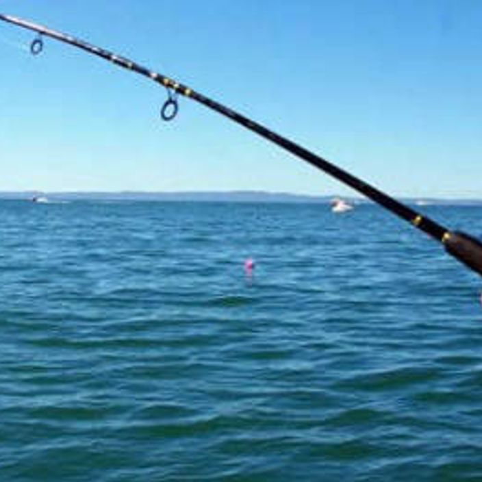 A hand holding a fishing rod out at sea