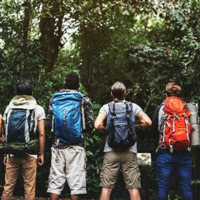 Group of young people standing looking up at nature with backpacks on