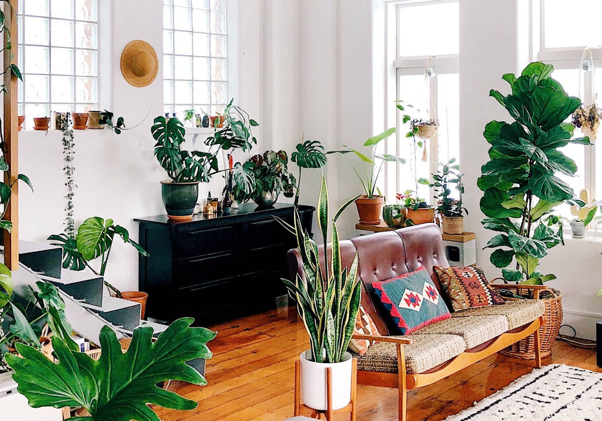 Blue sofa in bright room