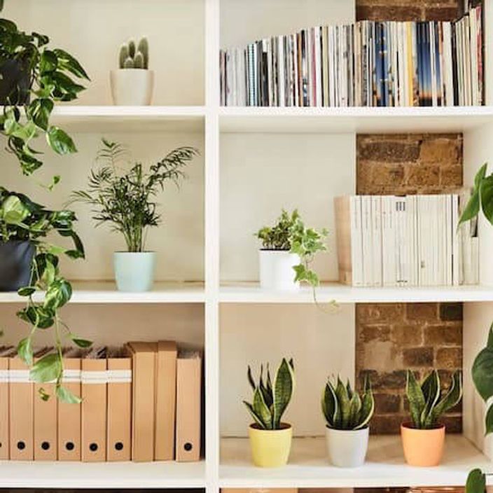 Shelving unit with plants