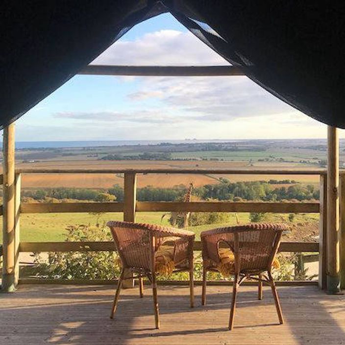Balcony overlooking giraffes