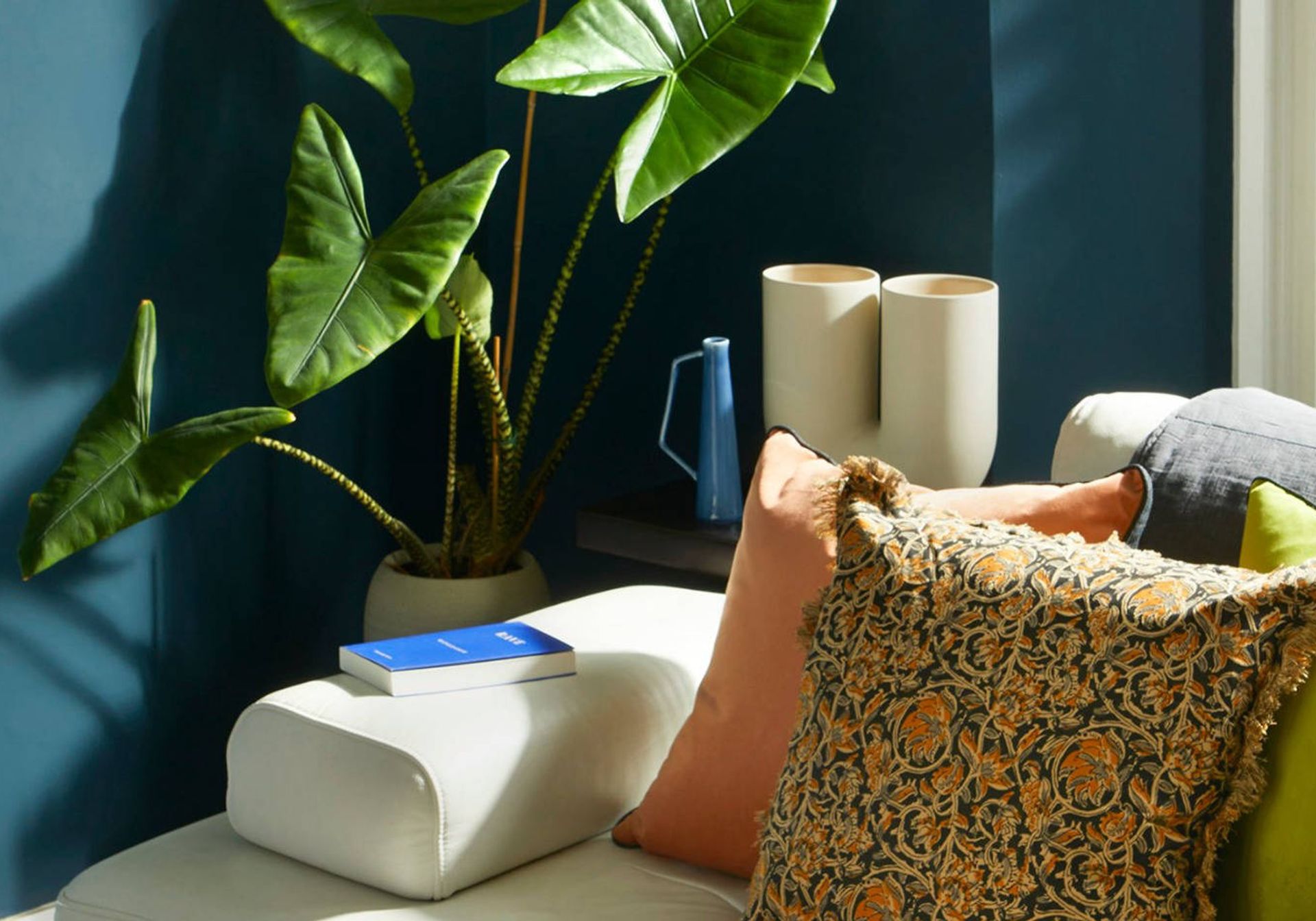 Stylish sofa with cushions, plant and blue wall