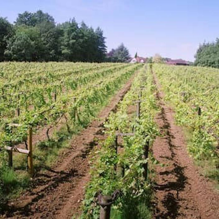 A winery