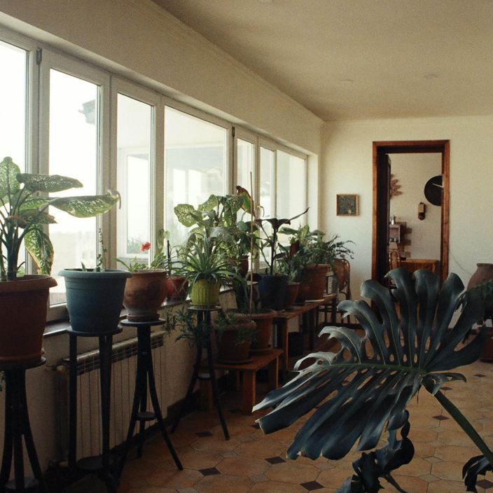 women doing yoga sunset