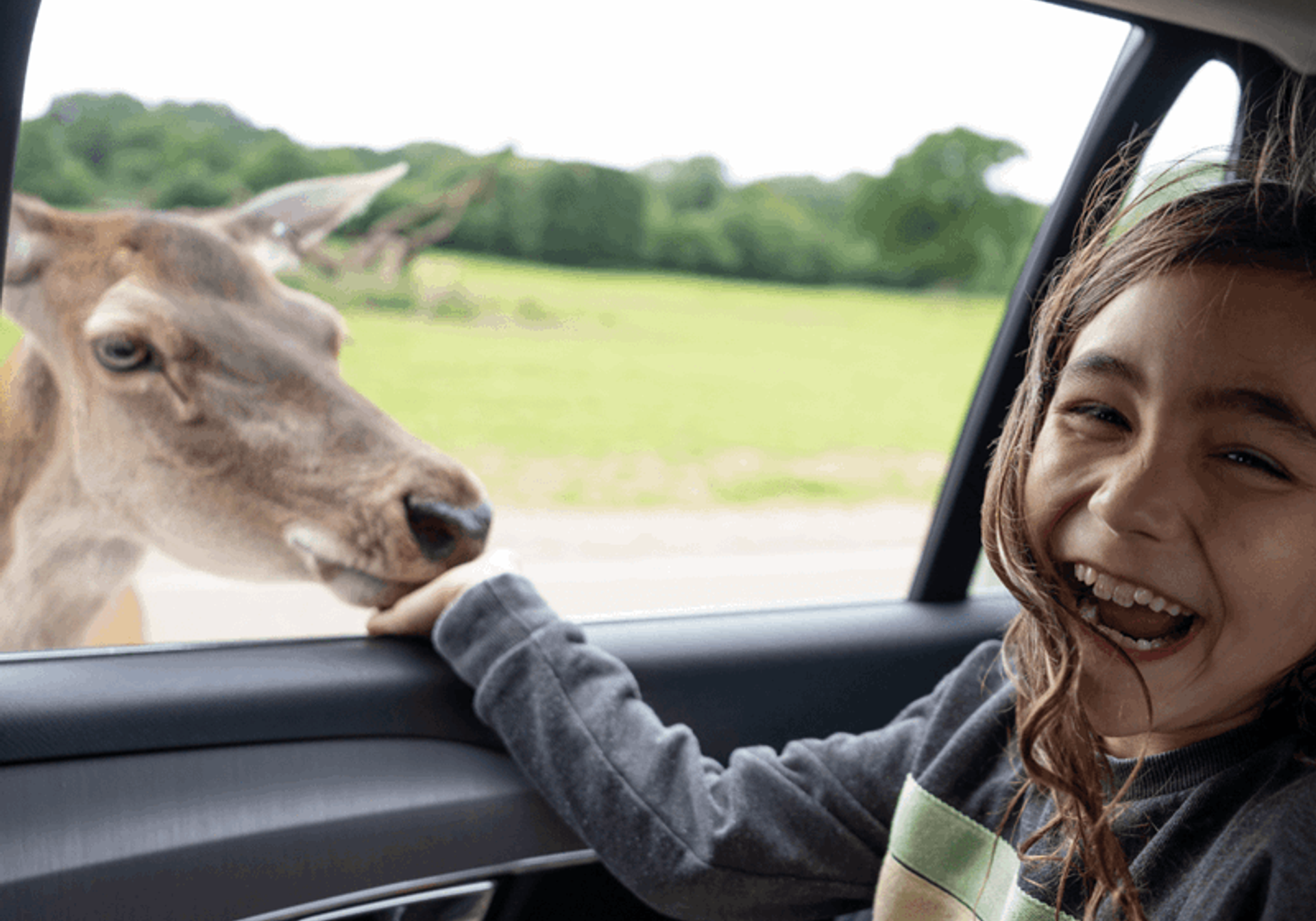 longleat