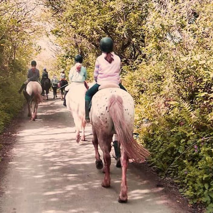 A group horse riding tour 