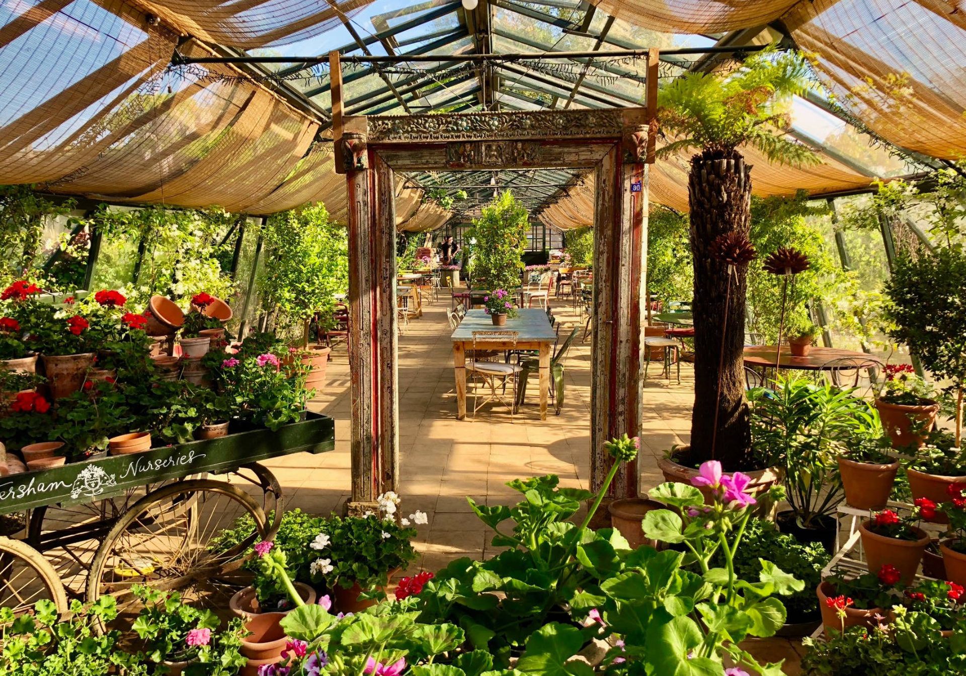 inside petersham nurseries richmond on a sunny day 