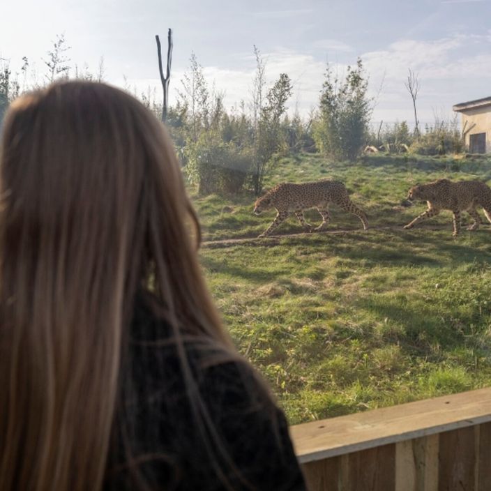 west midlands safari park theme park