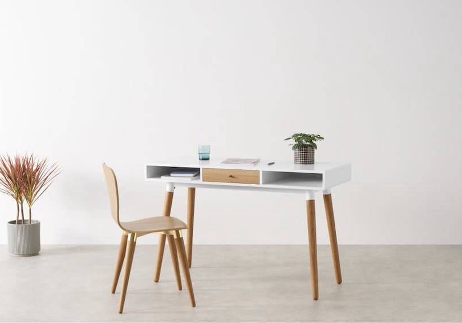 Home office desk with plants
