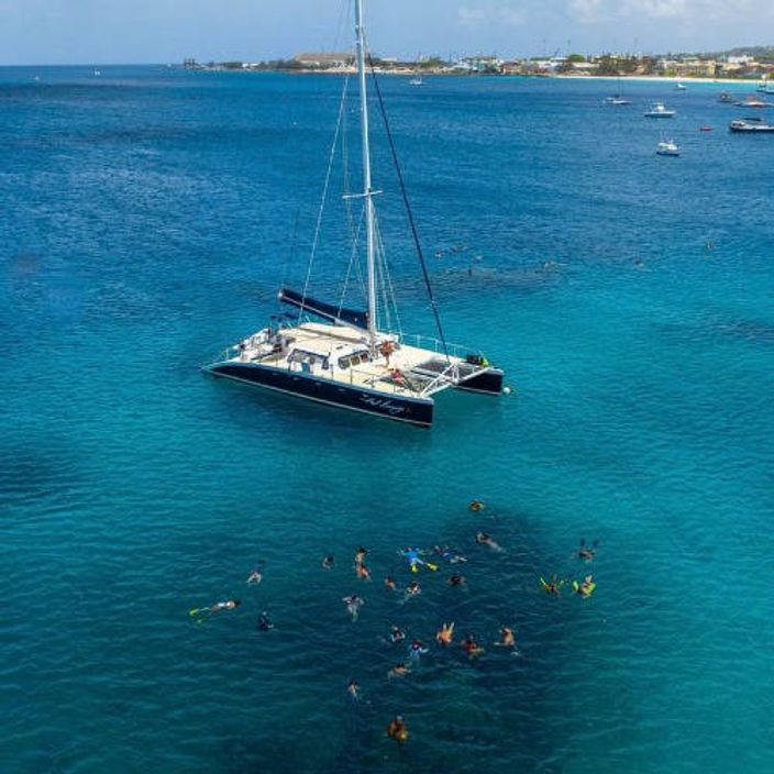 catamaran cruise and snorkelling