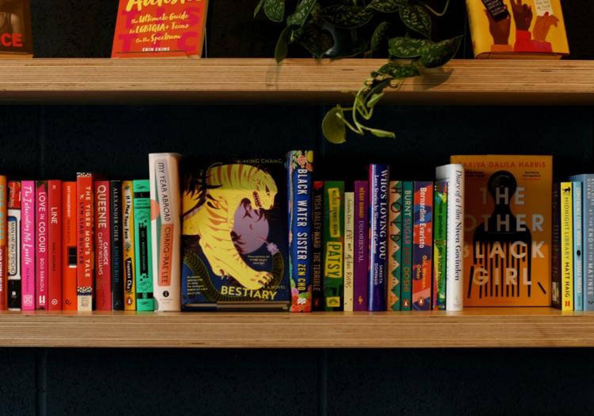 Book display at The Common Press