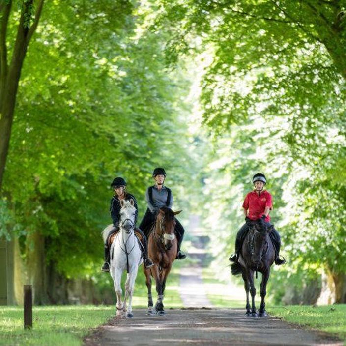Three people horse riding through trees