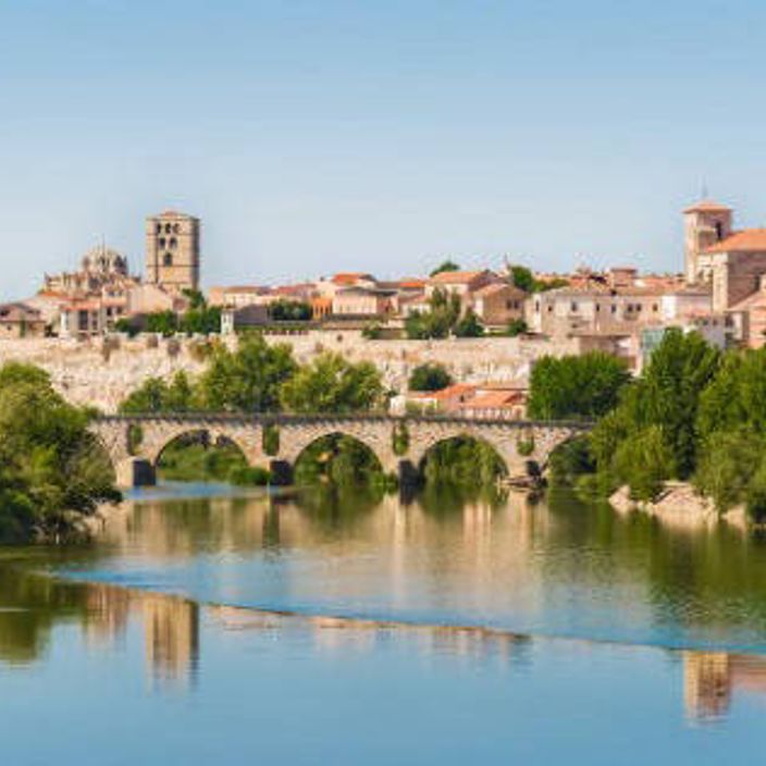 Zamora