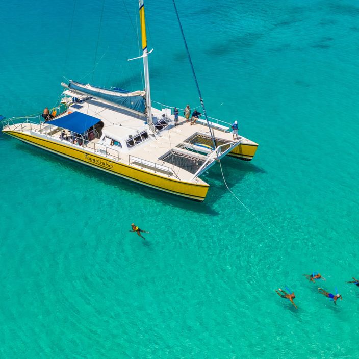 catamaran cruise and snorkelling
