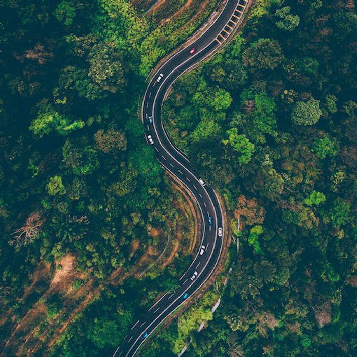 Winding forest road, viewed from above