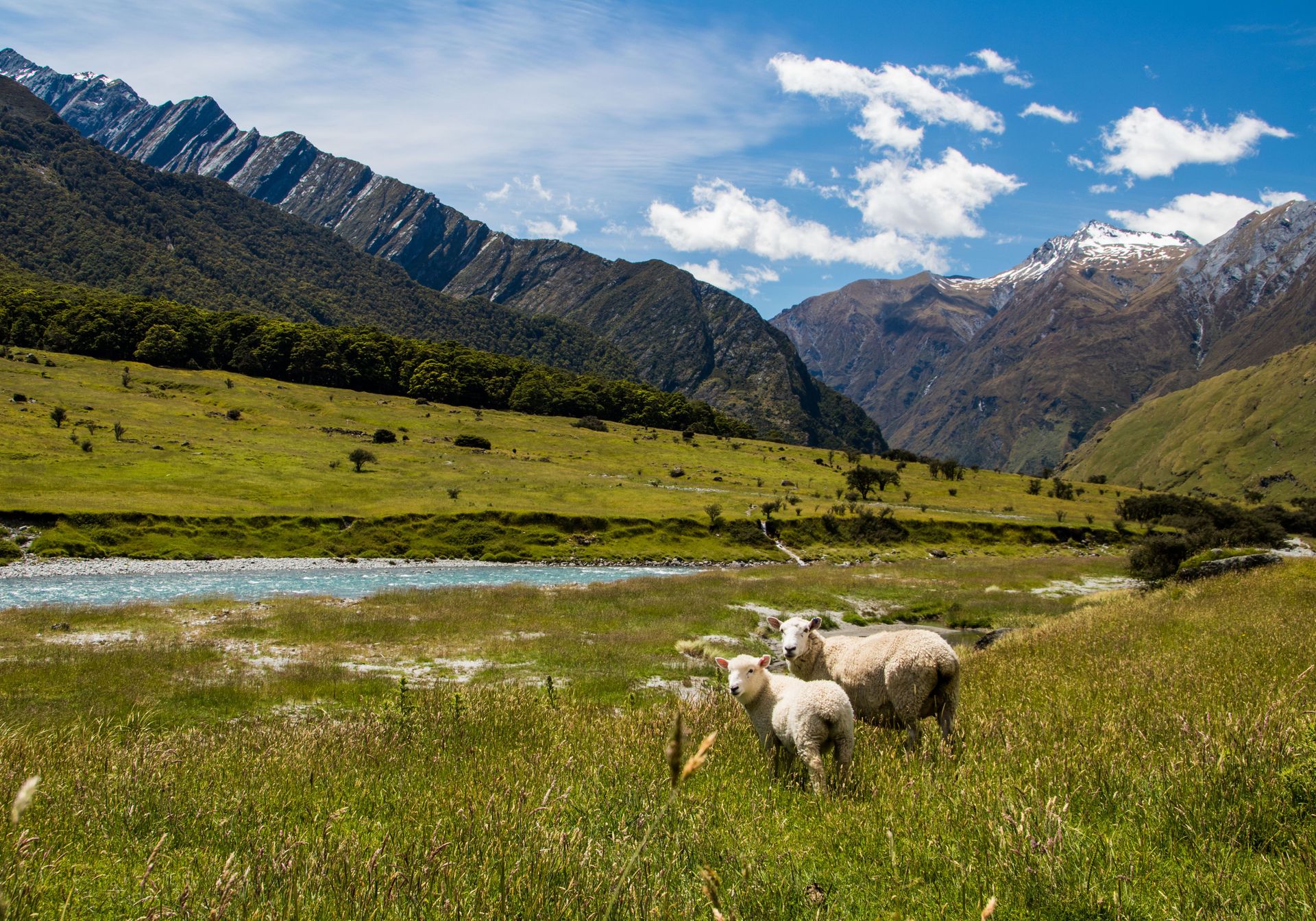 New Zeland