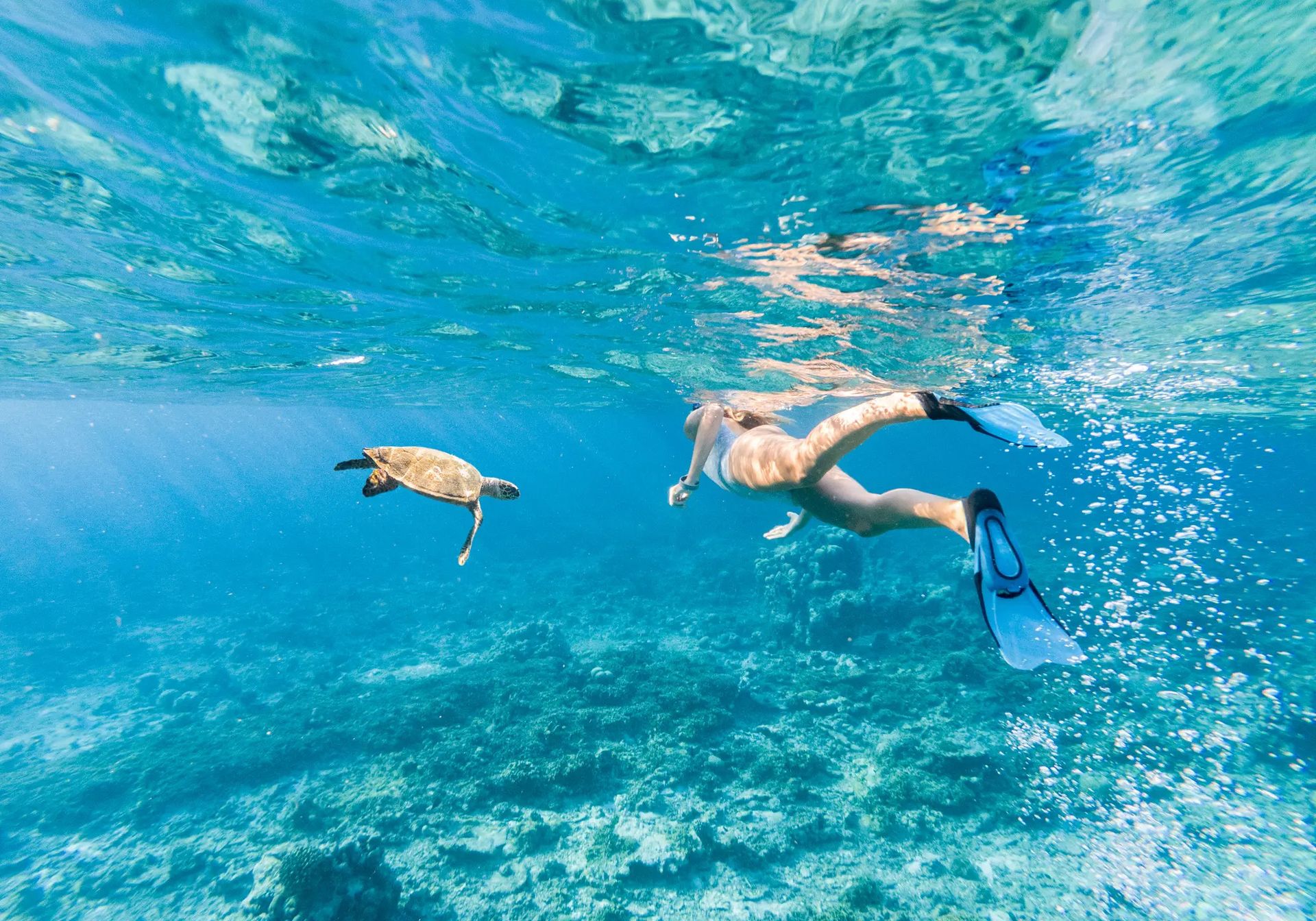 maldives