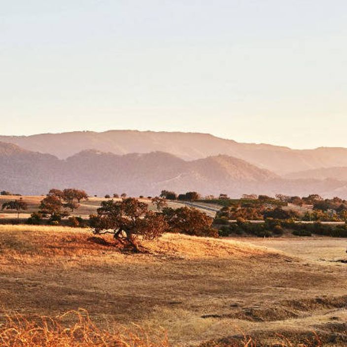 On the road to Los Olivos