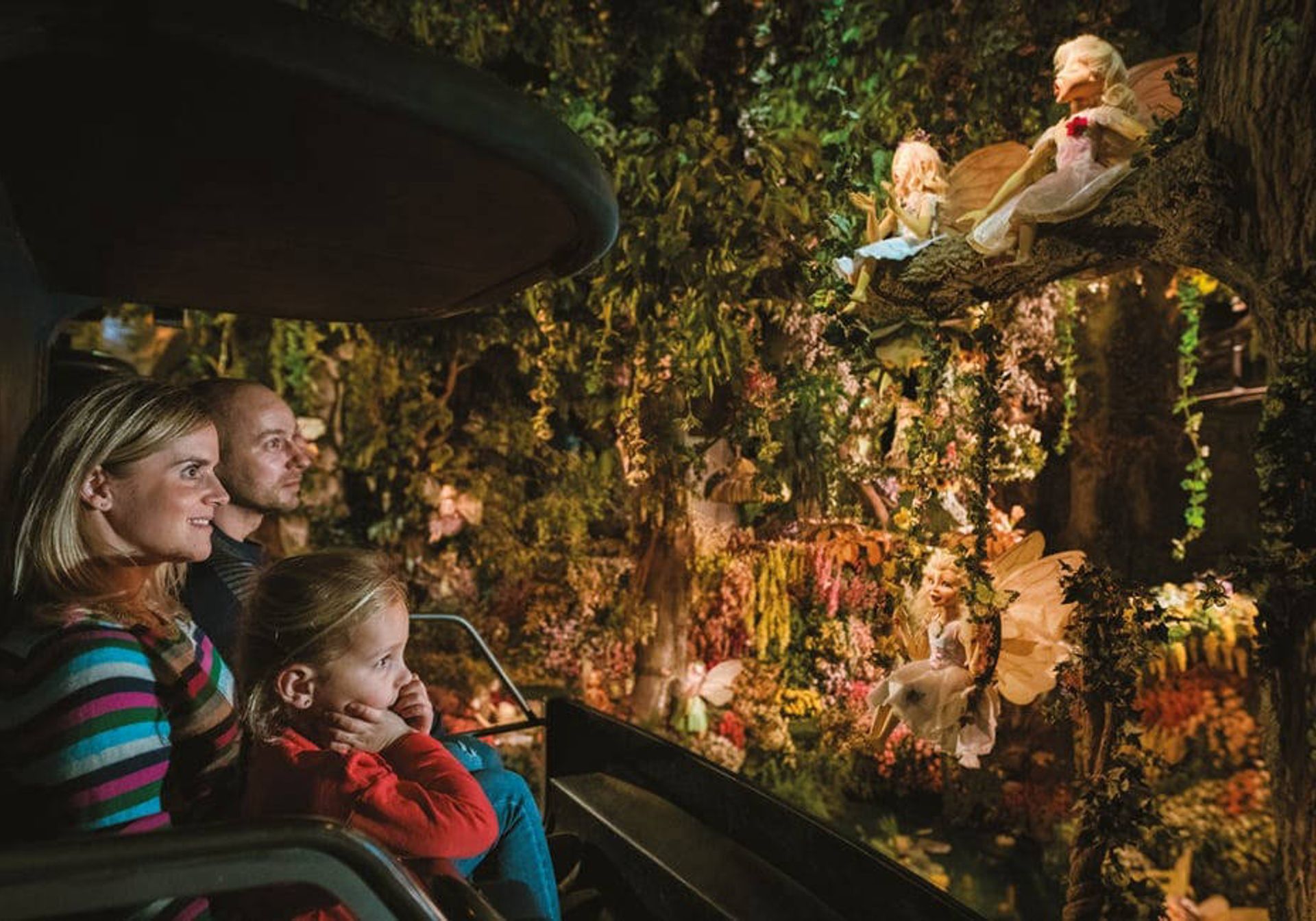 family in the dream flight (droomvlucht)