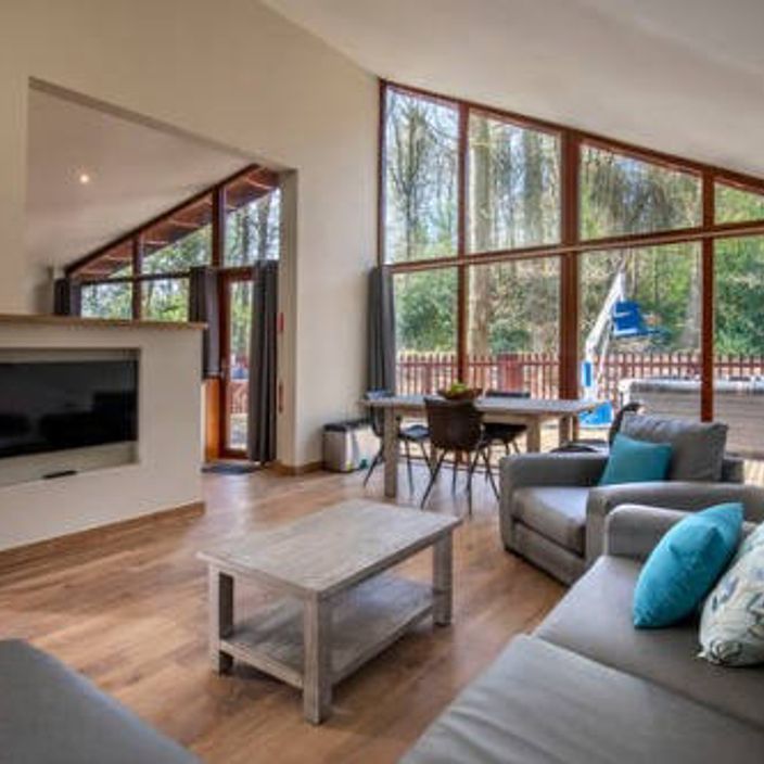 Modern living area inside cabin with fireplace