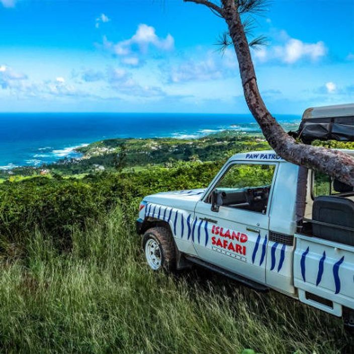 Island safari in the Caribbean