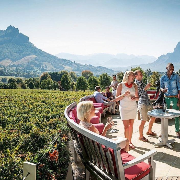 South African wine tasting