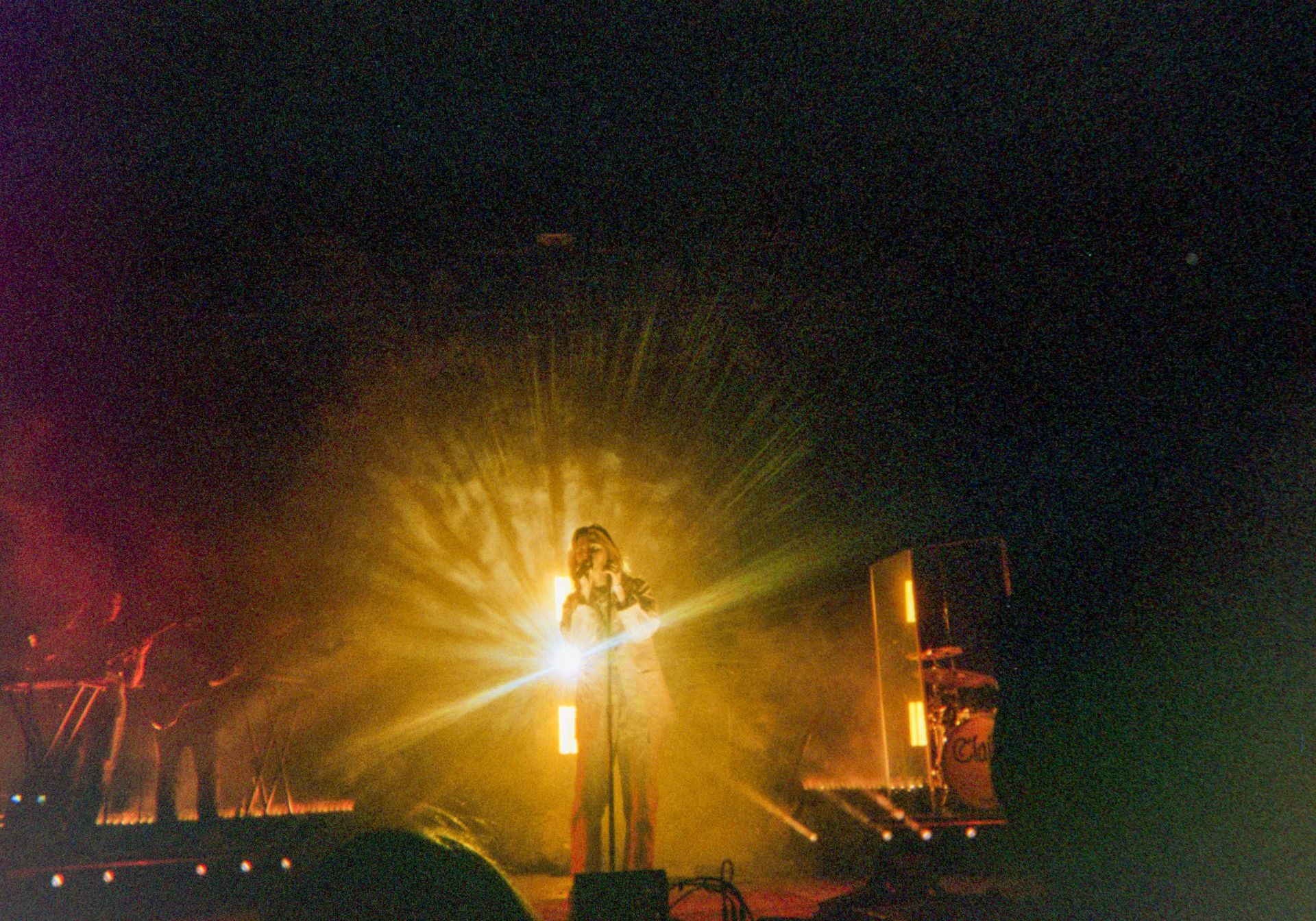 celine dion