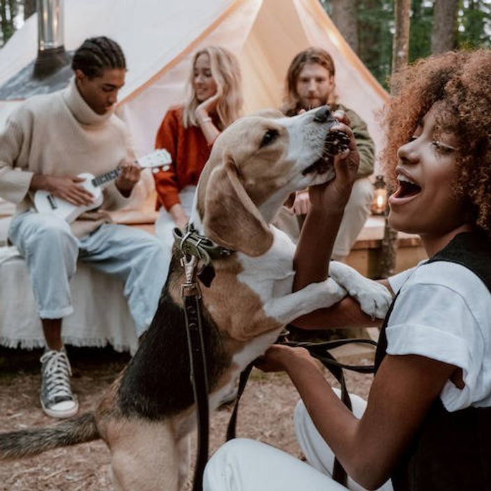 Friends glamping with dog