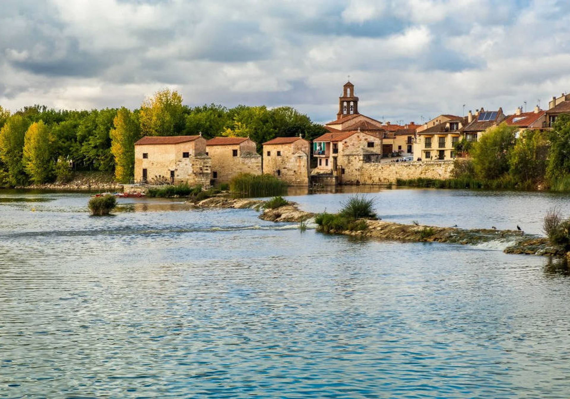 Zamora