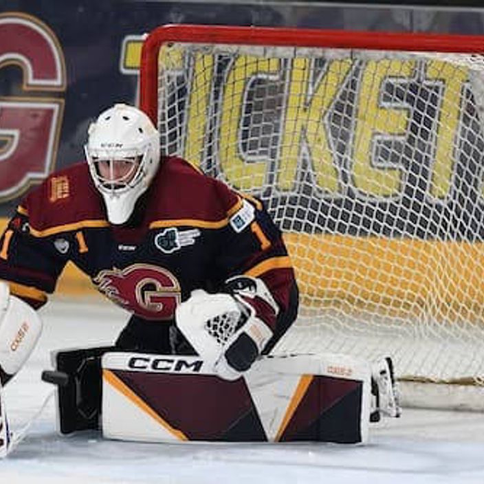 A ice hockey goal keeper