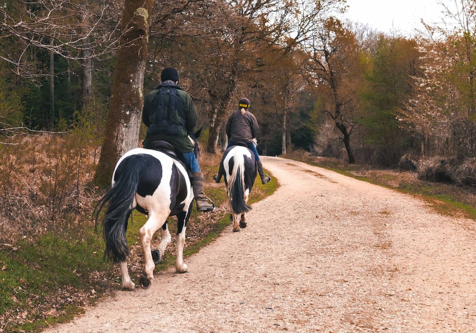 Two people horse riding in the woods