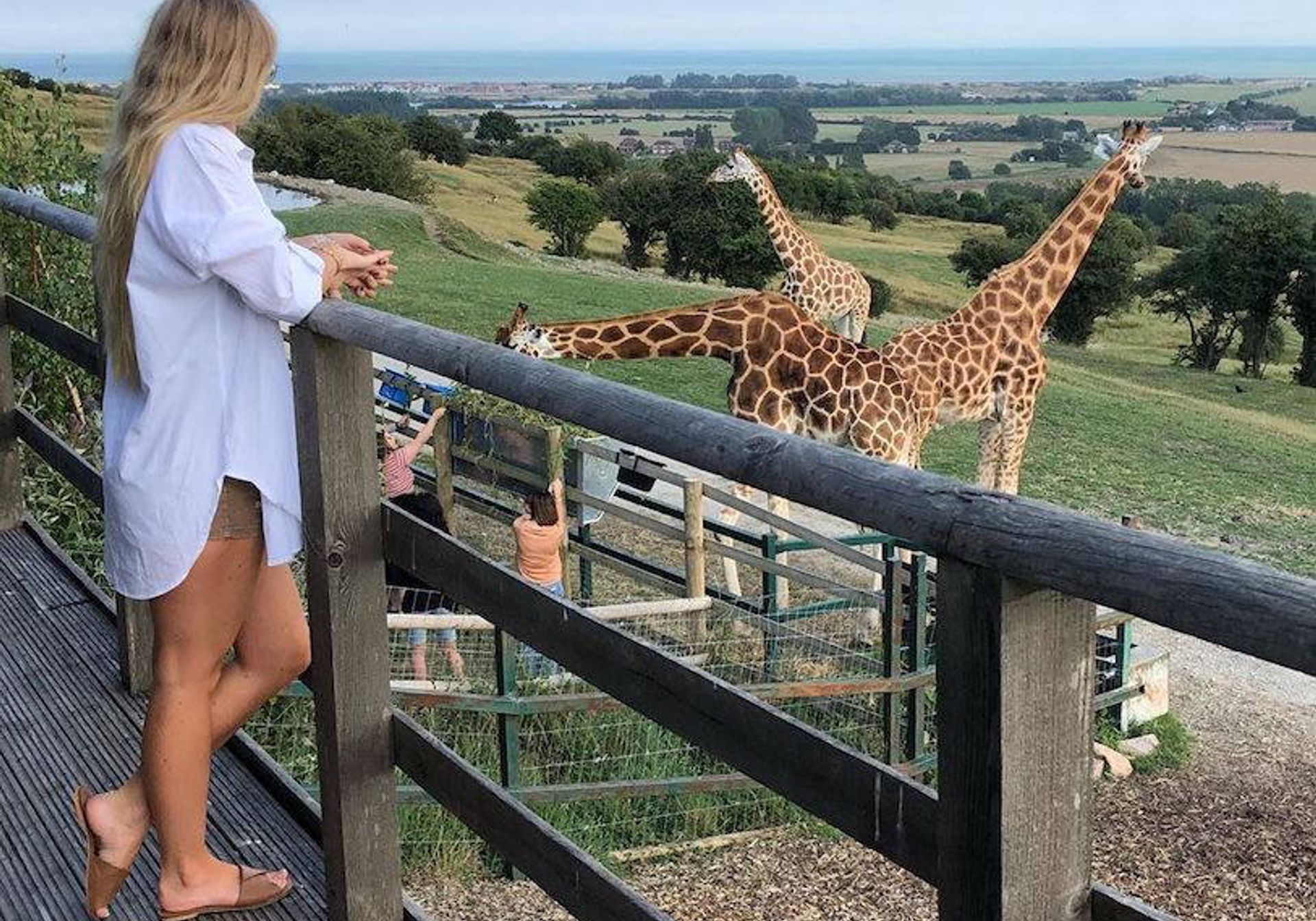 Woman overlooking giraffes at Port Lympne