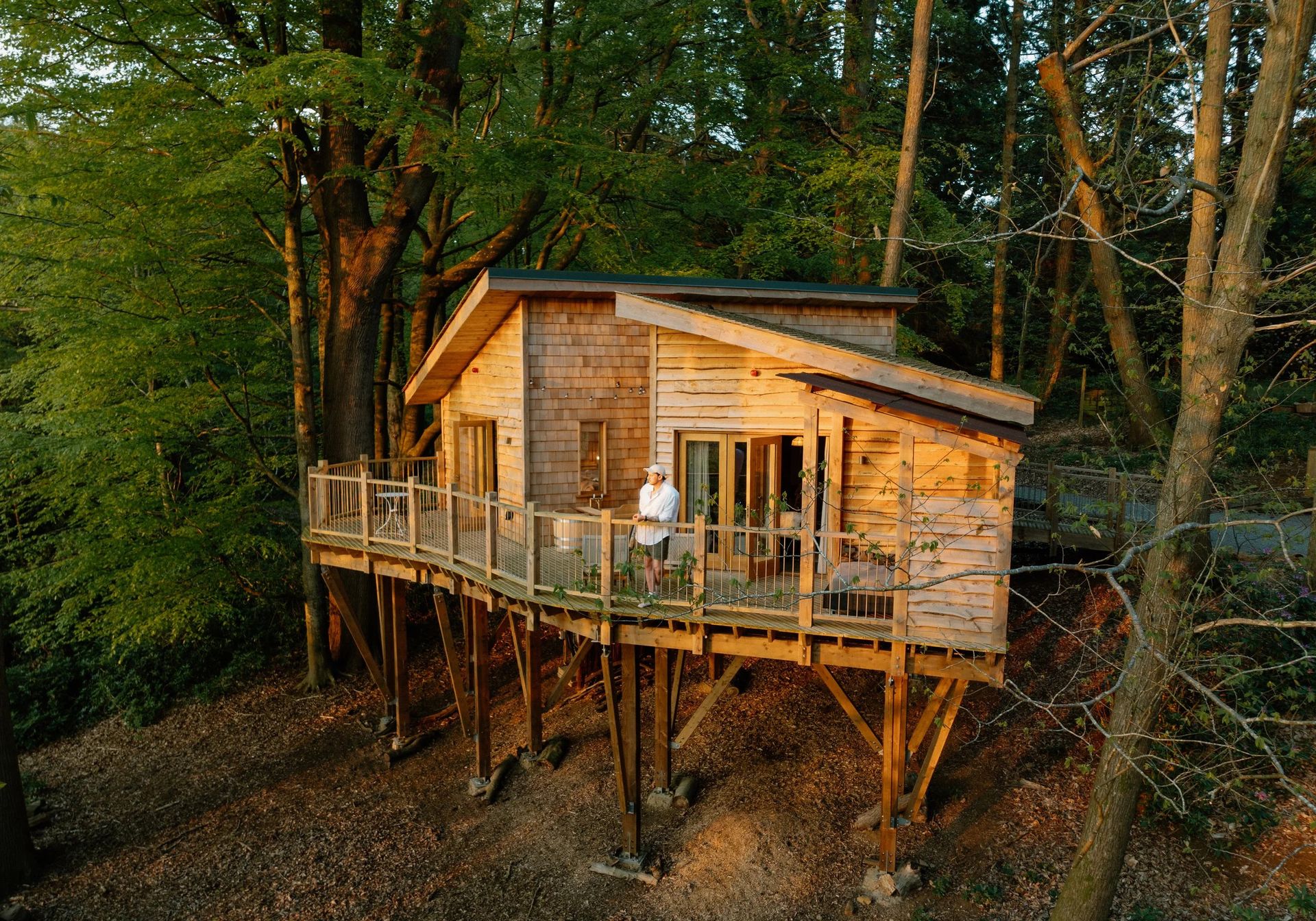 treehouse
