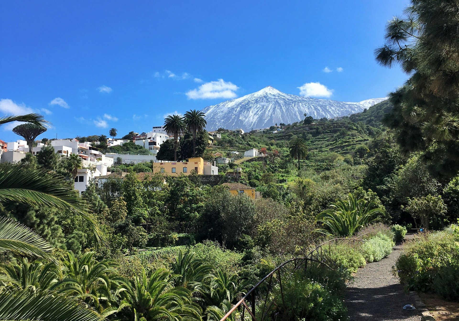 volcano in tenerife