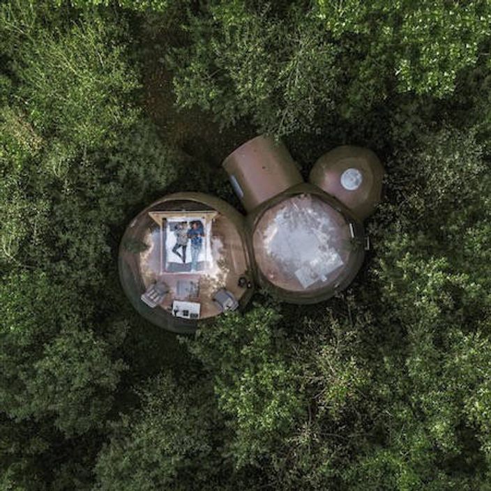Bubble dome hotel in woodland