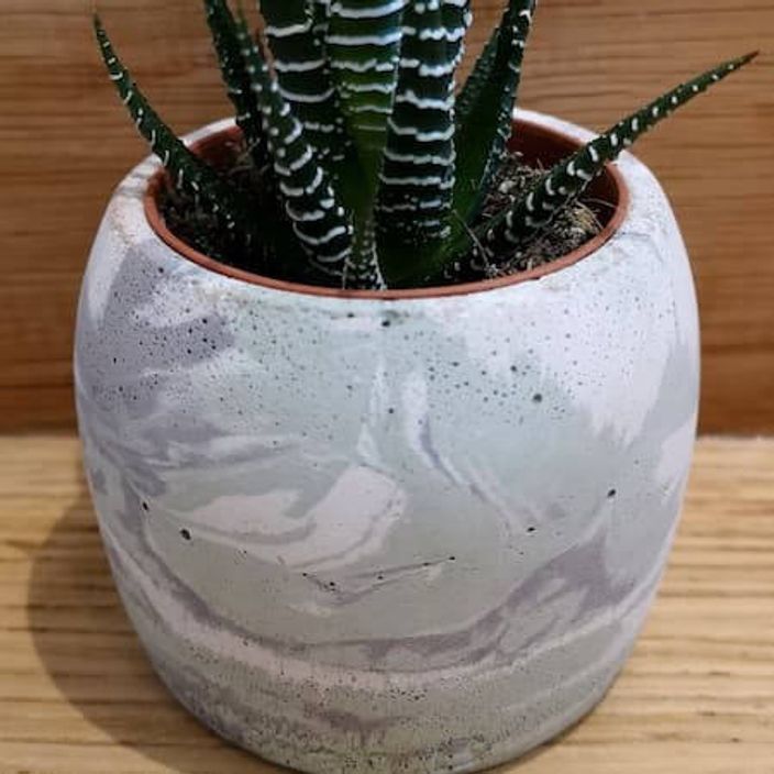 Marbled green ceramic pot with plant